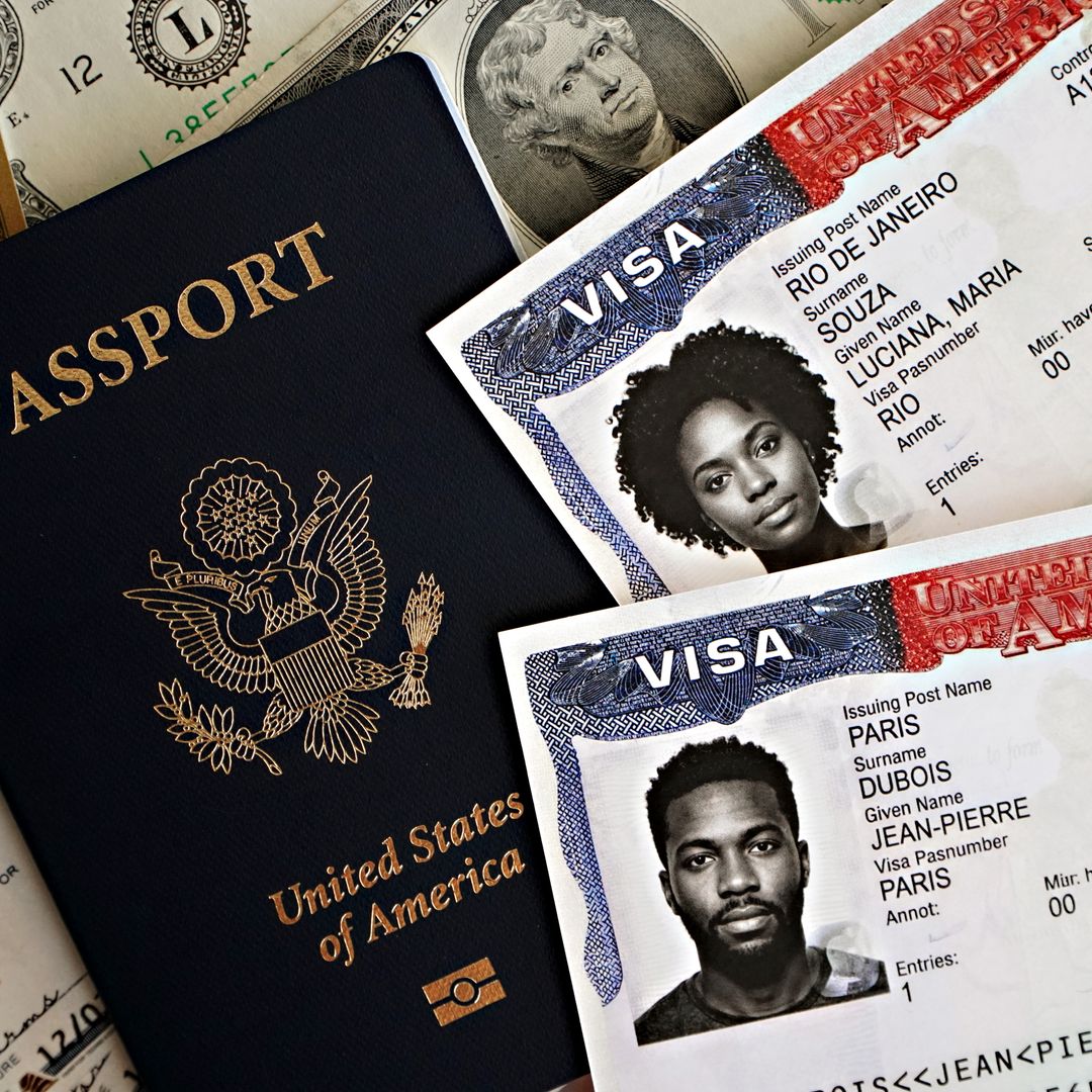 Strategic Compliance for Foreign Entrepreneur D-8 Visa Application and Corporate Registration